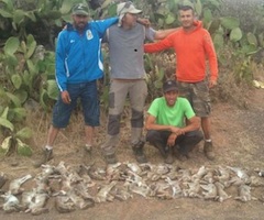 Los cazadores de Lanzarote piden más vigilancia para evitar las matanzas de conejos